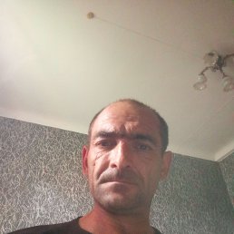 , 41, 