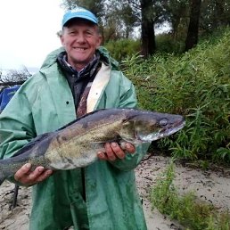 ���� ������� �����, ��������, 66 ��� - ��������� 18 ������ 2026