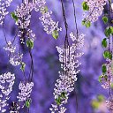 ���� ������, ��������, 50 ��� - ��������� 28 ������� 2025 � ������ ���������