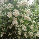 ���� �������, ����, 53 ���� - ��������� 4 ������ 2026 � ������ ���� ����������