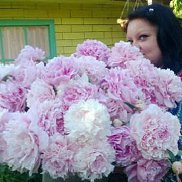 �����, 43 ����, ������ �����