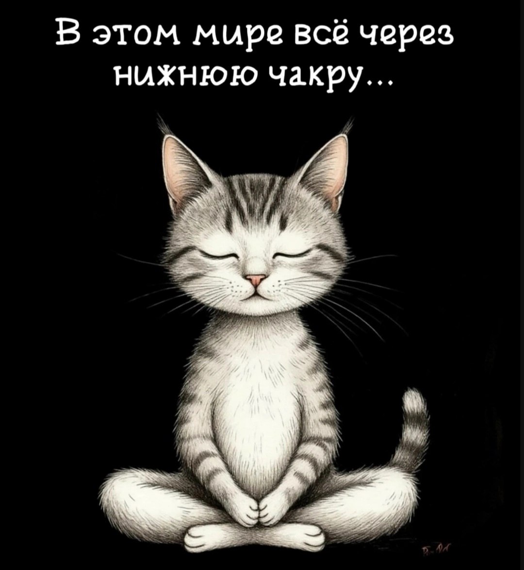 *T* - 2  2025  22:29