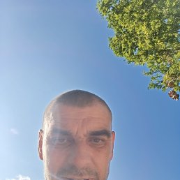 �������, 46 ���, ��������