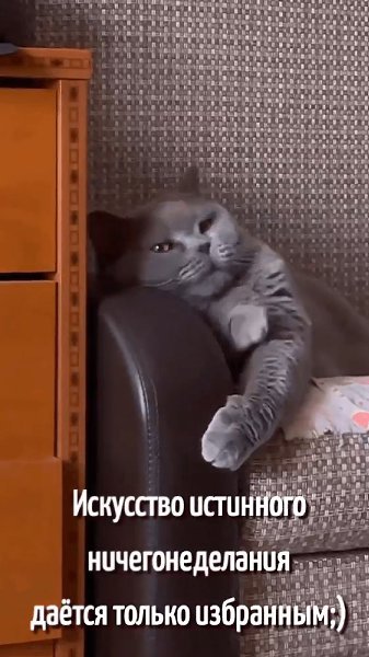   - 1  2025  07:51