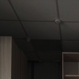, , 58 