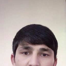 , 26, 