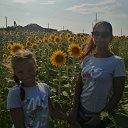 ���� �������, �����-���������, 35 ��� - ��������� 16 ������� 2024 � ������ ���� ����������