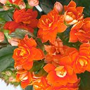 ���� �����, ��������� - ��������� 31 ���� 2025 � ������ ���� ����������