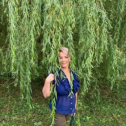 ���� ������, �������� - ��������� 13 ������� 2024