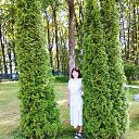 ���� Rimma, ����� - ��������� 30 ���� 2026 � ������ ���� ����������