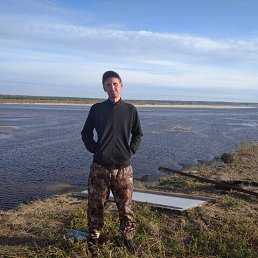 �����, 41 ���, �����������