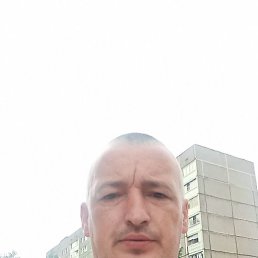 , 41, 