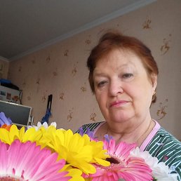 ���� �������, ������, 66 ��� - ��������� 15 ����� 2024
