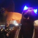 ���� **������**, ����� - ��������� 8 ������� 2025 � ������ ���� ����������