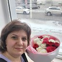 ���� ����, ����-�����������, 48 ��� - ��������� 24 ���� 2026