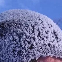 ������, ������, 49 ���