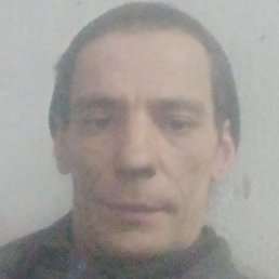 ������, ������, 46 ���