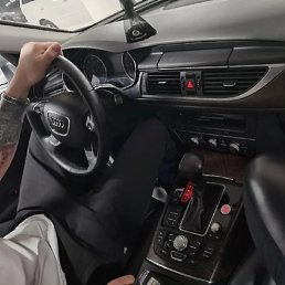 ����������, �������, 33 ����