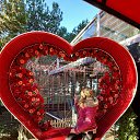 ���� ����, ������, 46 ��� - ��������� 6 ������ 2026 � ������ ���� ����������