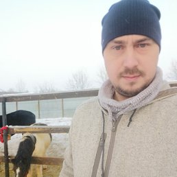 ���� �����, ������������ - ��������� 14 ����� 2026