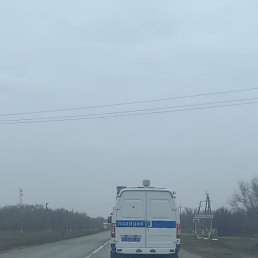 �����, ���������, 36 ���