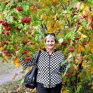 , 65 , 