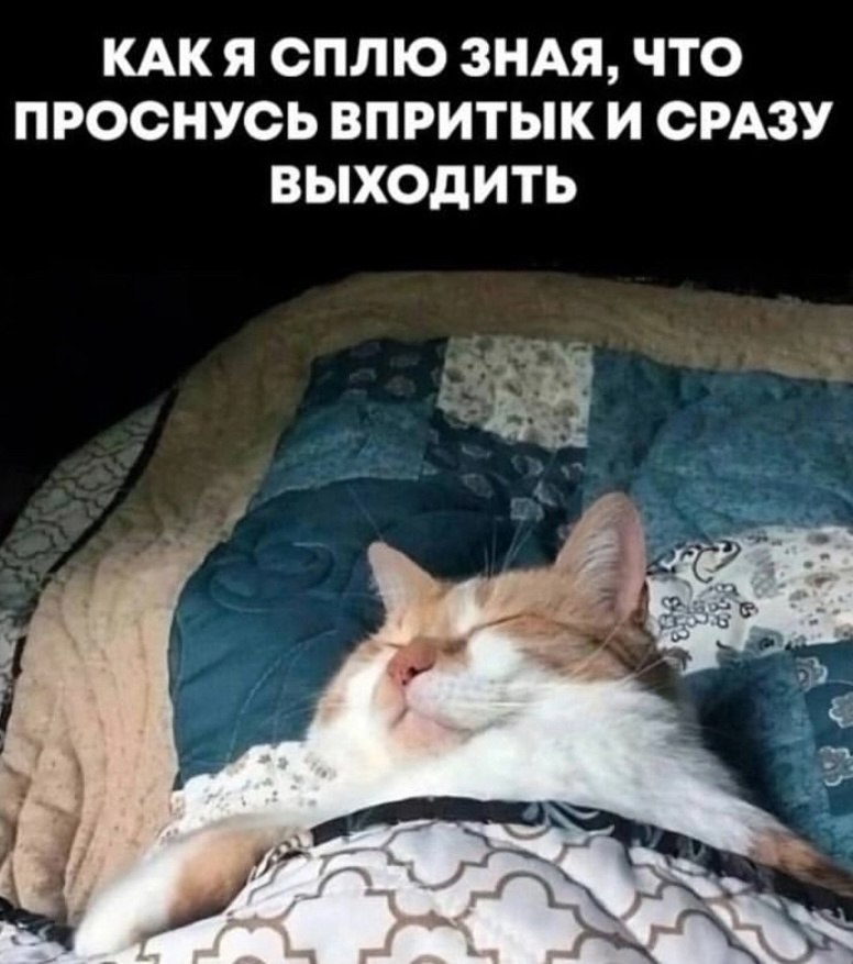    - 1  2025  00:19