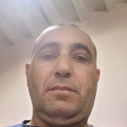 �����, ���������, 44 ����