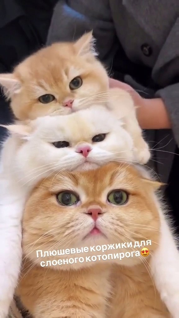      )