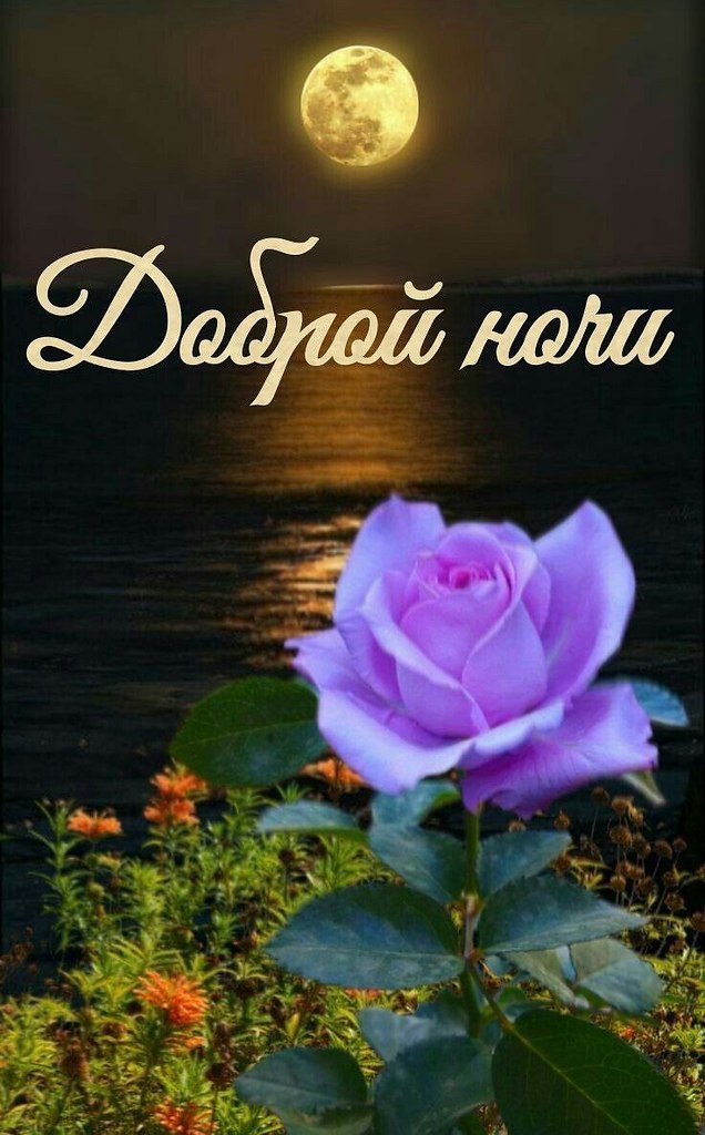  - 22  2025  00:47