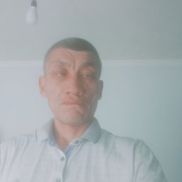 , 44, 