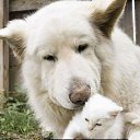 ���� �����, ����������, 43 ���� - ��������� 26 ������ 2026