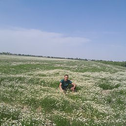 , 29, 