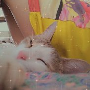 , 26 , 