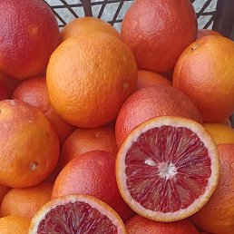 ����, ������, 37 ���