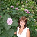 ���� �������, ����, 44 ���� - ��������� 14 ������� 2024 � ������ ���� ����������