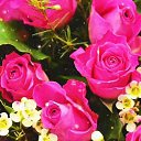 ���� ����, ����, 41 ��� - ��������� 24 ������� 2025