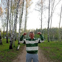 �������, ������, 50 ���