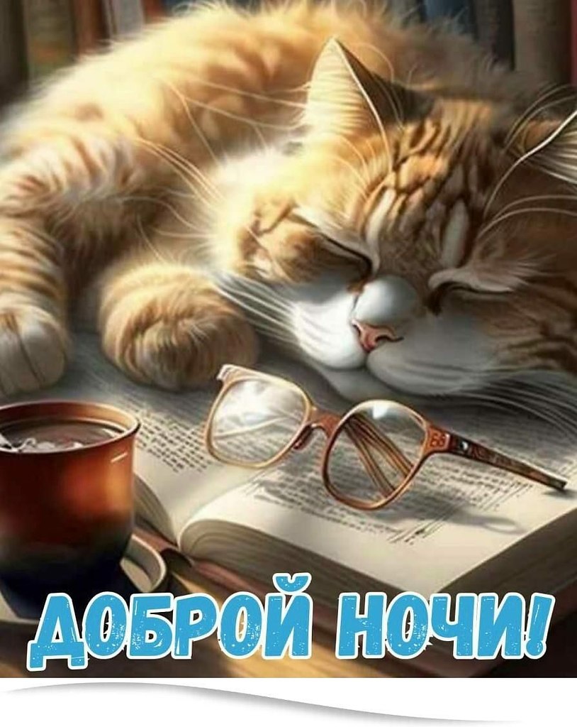 ~~~~~~~~~~~~~