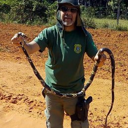 Cosme, 65, 