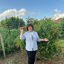 ���� �����, ���������, 62 ���� - ��������� 26 ���� 2025