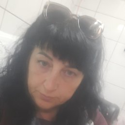 , 51, 