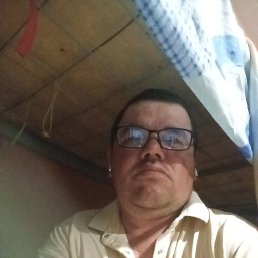 , 42, 