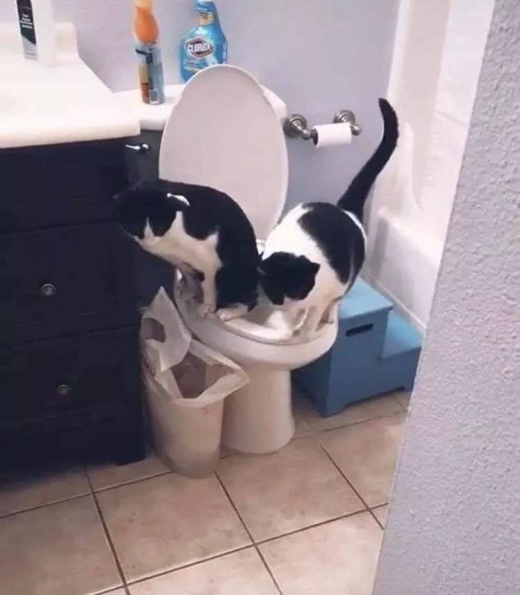�� ���������� - 2