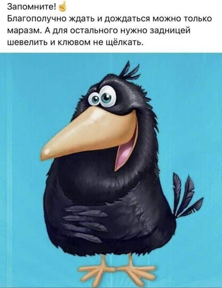  - 15  2024  13:49