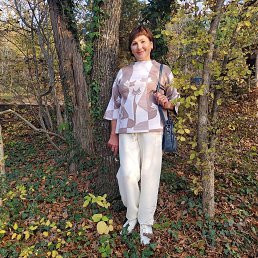 ���� ��������, �����, 64 ���� - ��������� 15 ������� 2026