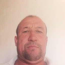 , 45, 
