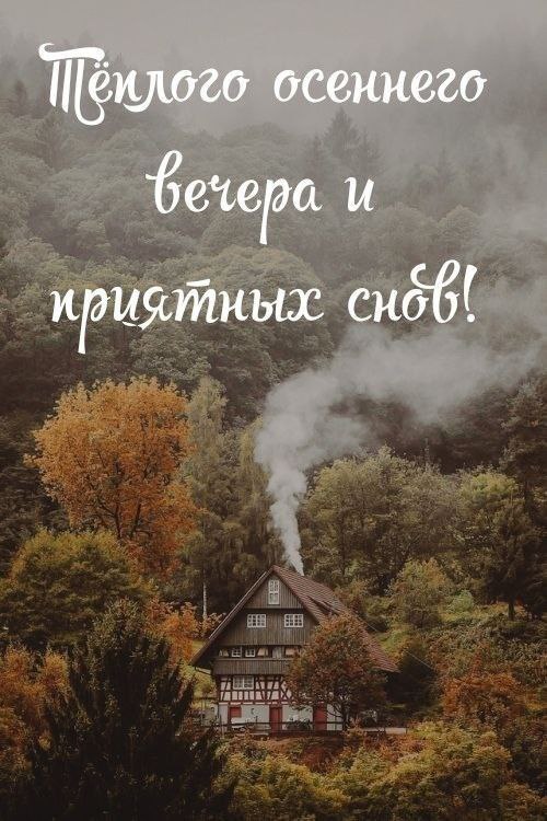 ПРИВЕТСТВИЯ и ПОЖЕЛАНИЯ, открытки на каждый день. - 16 октября 2025 в 21:43