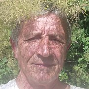 , 61 , 