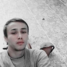 , 29, 